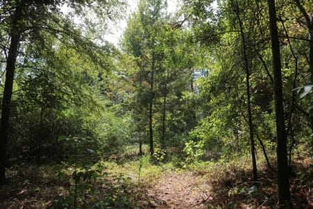 Kite, GA 31049 Johnson County