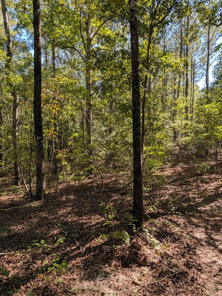 Milner, GA 30257 Lamar County