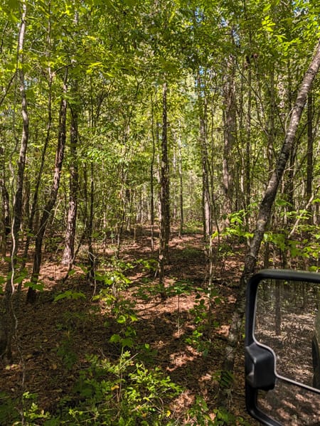 Milner, GA 30257 Lamar County