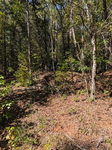 Milner, GA 30257 Lamar County