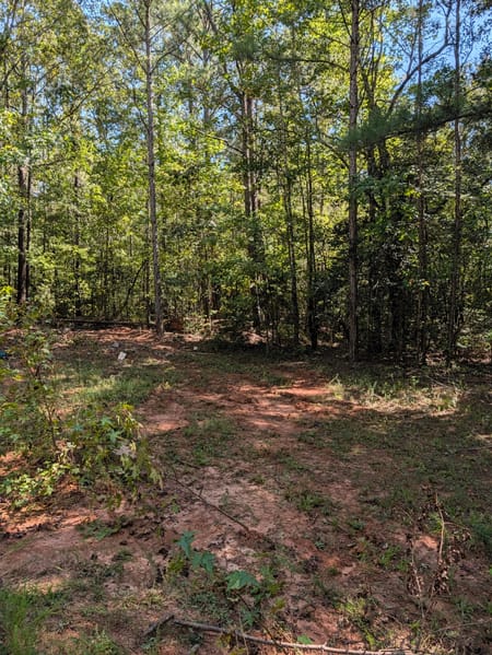 Milner, GA 30257 Lamar County