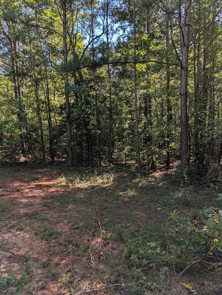Milner, GA 30257 Lamar County