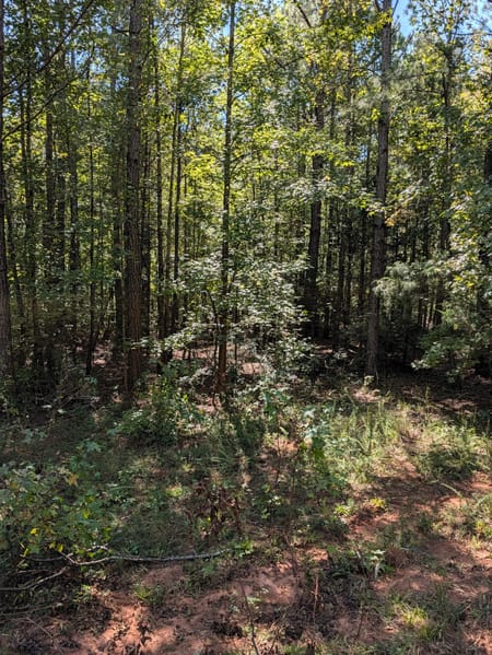 Milner, GA 30257 Lamar County