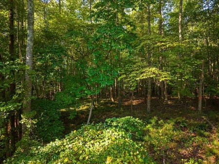 Roswell, GA 30075 Fulton County