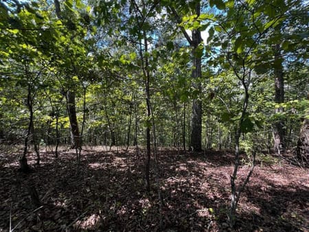 Ranger, GA 30734 Gordon County