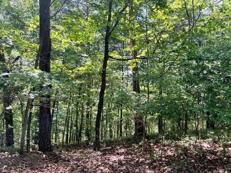 Ranger, GA 30734 Gordon County