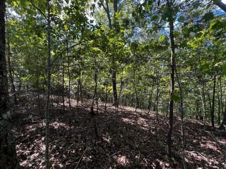 Ranger, GA 30734 Gordon County
