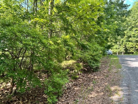 Ranger, GA 30734 Gordon County