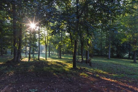 Ball Ground, GA 30107 Cherokee County