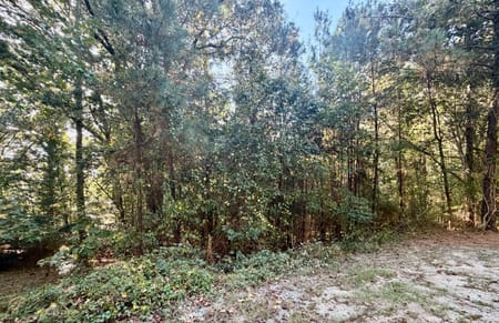Monticello, GA 31064 Jasper County