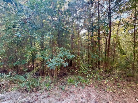 Monticello, GA 31064 Jasper County