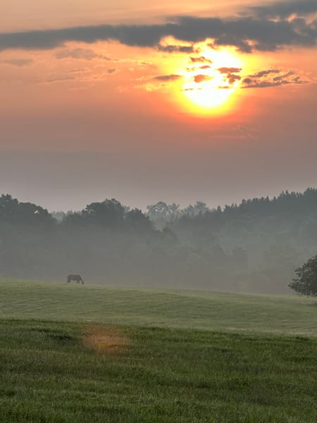 Washington, GA 30673 Wilkes County