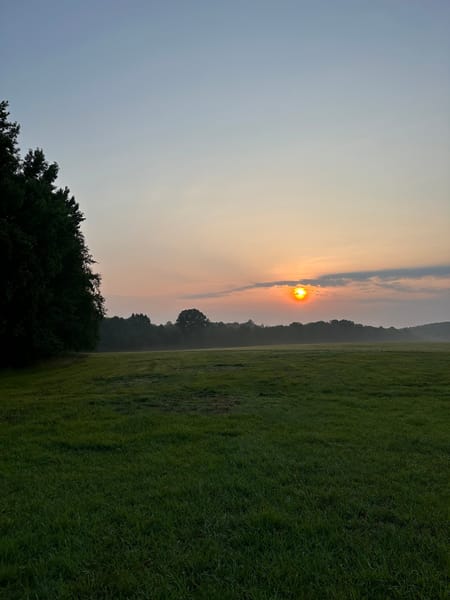 Washington, GA 30673 Wilkes County