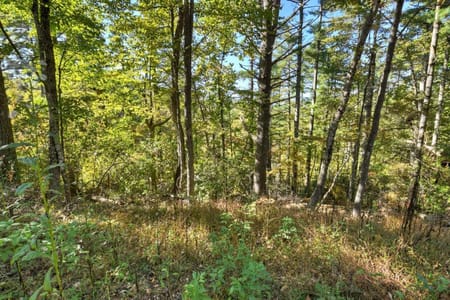 Blue Ridge, GA 30513 Fannin County
