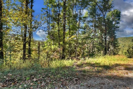 Blue Ridge, GA 30513 Fannin County