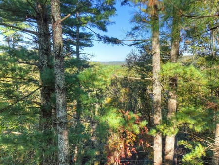 Blue Ridge, GA 30513 Fannin County