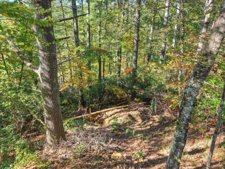 Blue Ridge, GA 30513 Fannin County