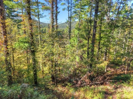 Blue Ridge, GA 30513 Fannin County