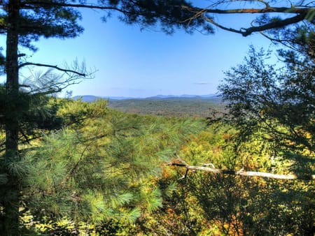 Blue Ridge, GA 30513 Fannin County