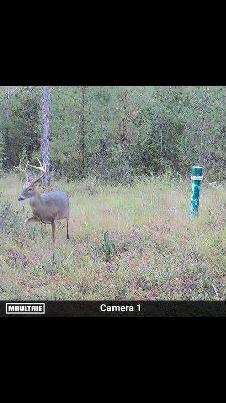 Millen, GA 30442 Jenkins County