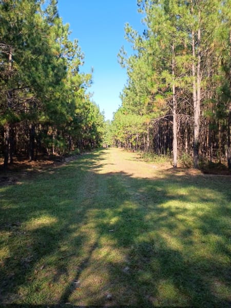 Millen, GA 30442 Jenkins County