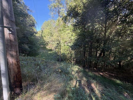 Mineral Bluff, GA 30559 Fannin County