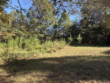 Mineral Bluff, GA 30559 Fannin County