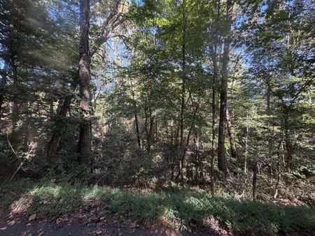 Mineral Bluff, GA 30559 Fannin County