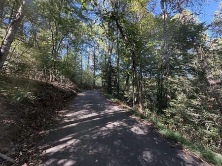Mineral Bluff, GA 30559 Fannin County