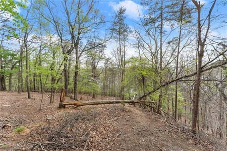 Gainesville, GA 30506 Hall County