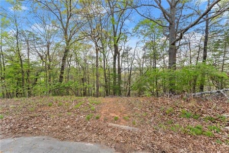 Gainesville, GA 30506 Hall County