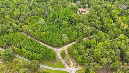 Buchanan, GA 30113 Haralson County