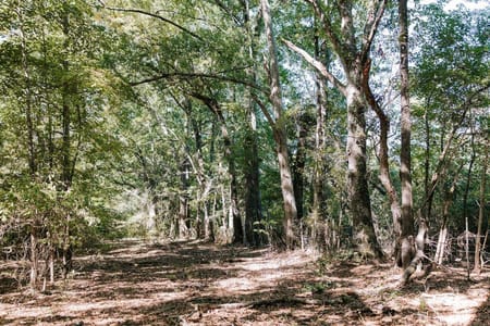 Washington, GA 30673 Wilkes County