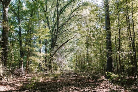 Washington, GA 30673 Wilkes County