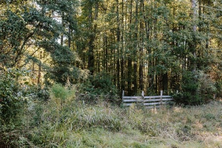 Washington, GA 30673 Wilkes County