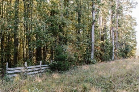 Washington, GA 30673 Wilkes County