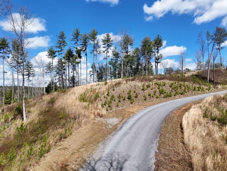 Ellijay, GA 30540 Gilmer County