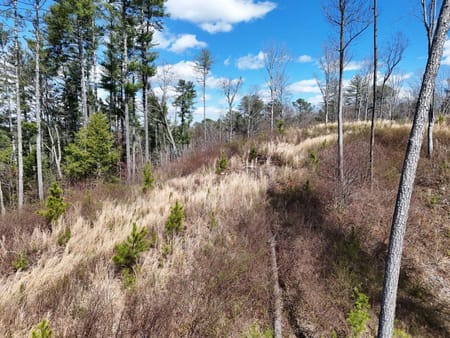 Ellijay, GA 30540 Gilmer County
