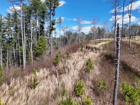 Ellijay, GA 30540 Gilmer County