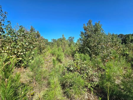 Comer, GA 30629 Madison County