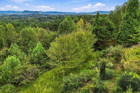 Ellijay, GA 30536 Gilmer County