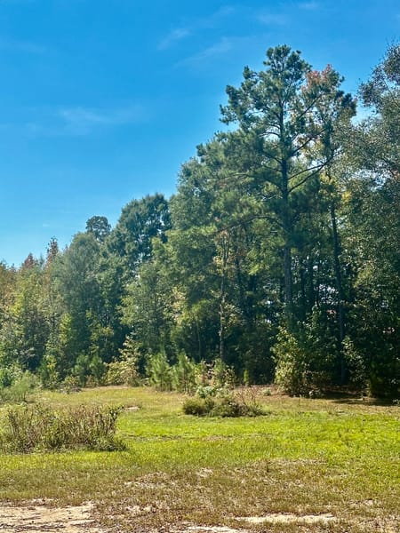 Brooks, GA 30205 Spalding County