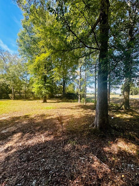 Brooks, GA 30205 Spalding County