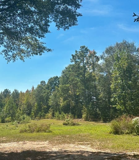 Brooks, GA 30205 Spalding County
