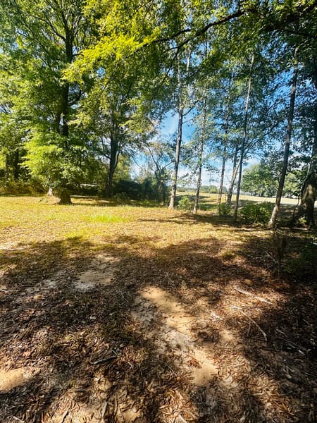Brooks, GA 30205 Spalding County