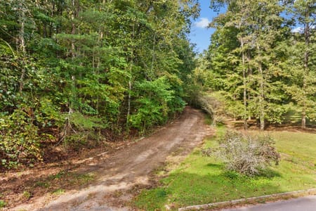 Dalton, GA 30720 Whitfield County