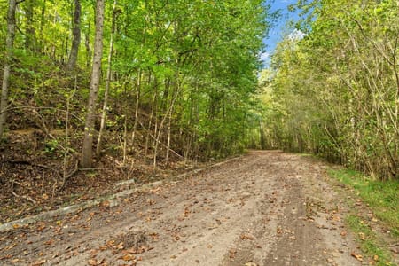 Dalton, GA 30720 Whitfield County