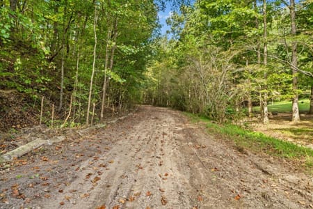 Dalton, GA 30720 Whitfield County