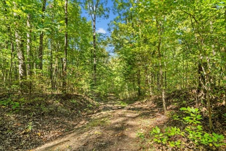 Dalton, GA 30720 Whitfield County