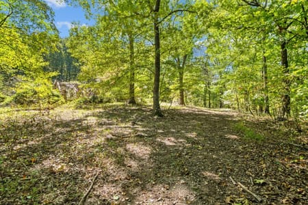Dalton, GA 30720 Whitfield County
